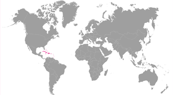 west indies
